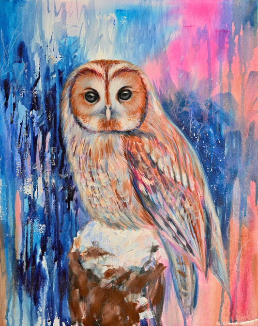 Barred Owl Print