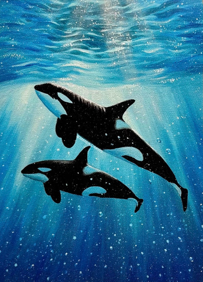 Pacific Orcas Print