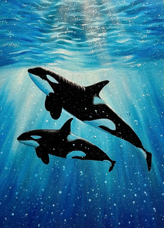 Pacific Orcas Print