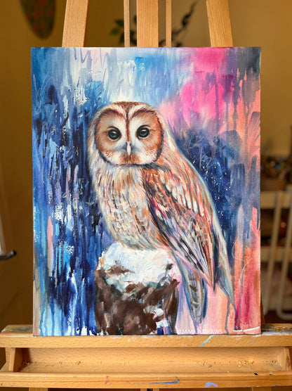 Barred Owl | Acrylic on canvas
