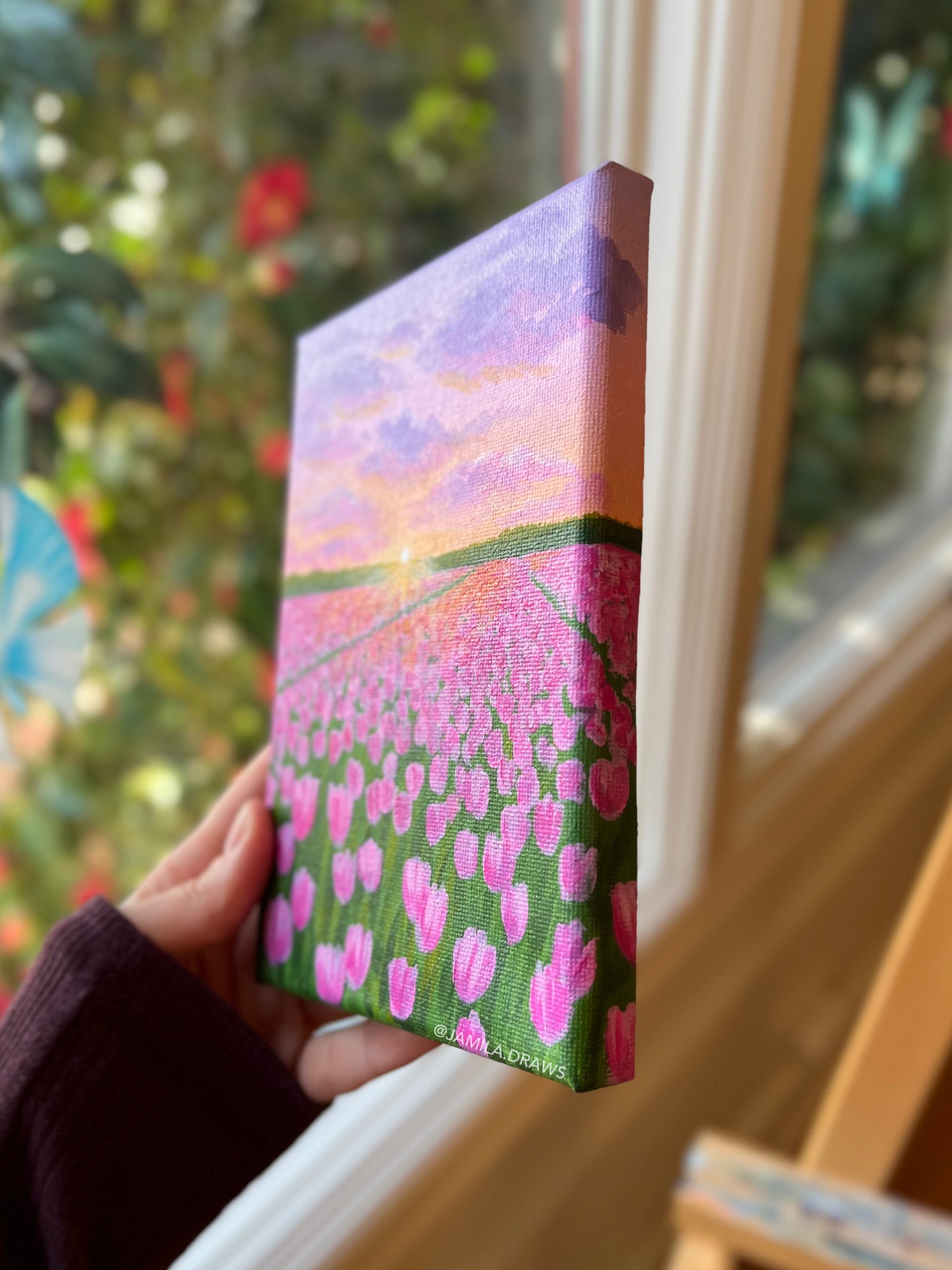 Sunset Tulips