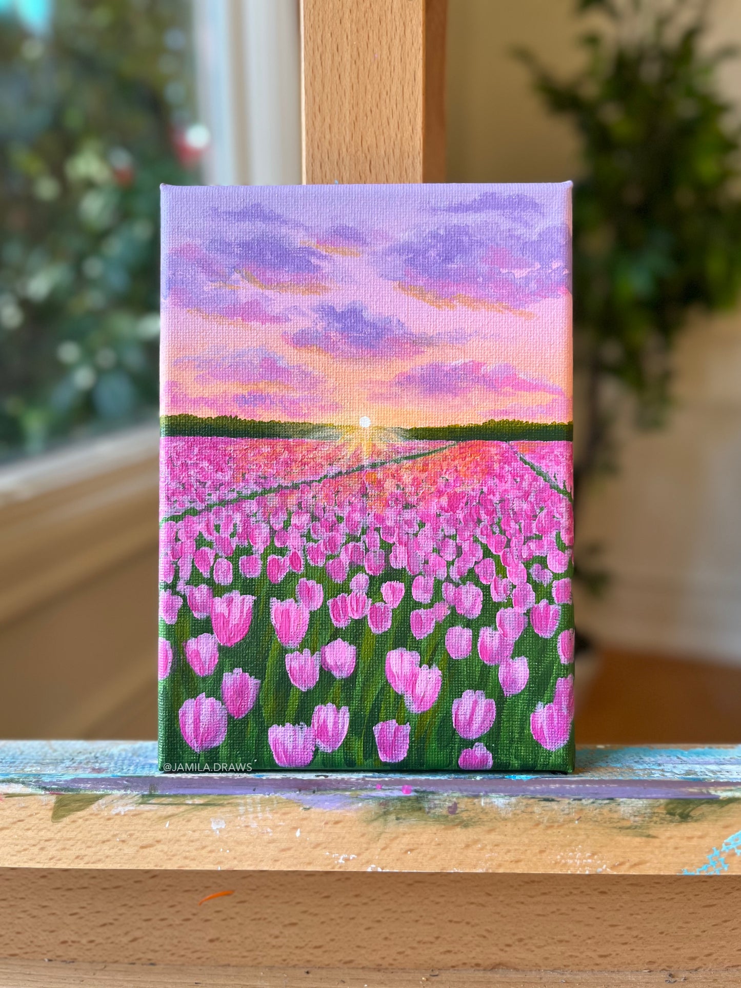Sunset Tulips