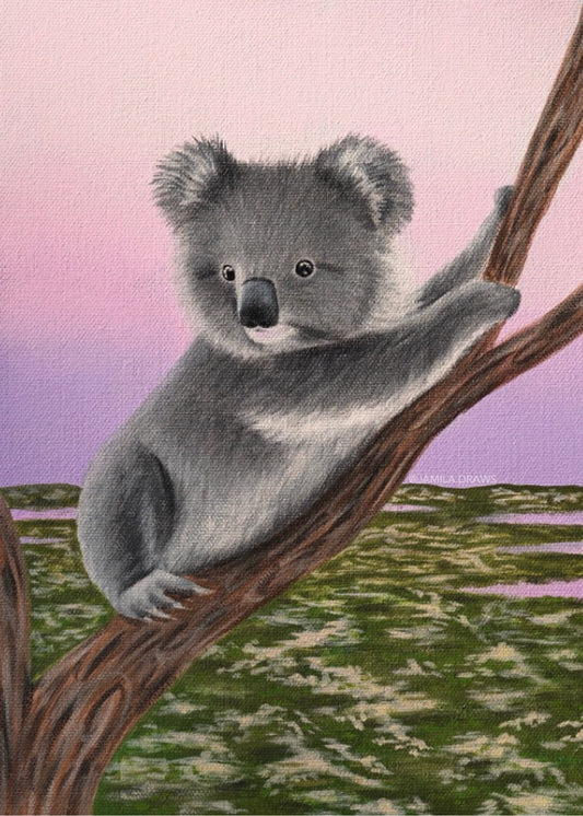 Koala Cub Print