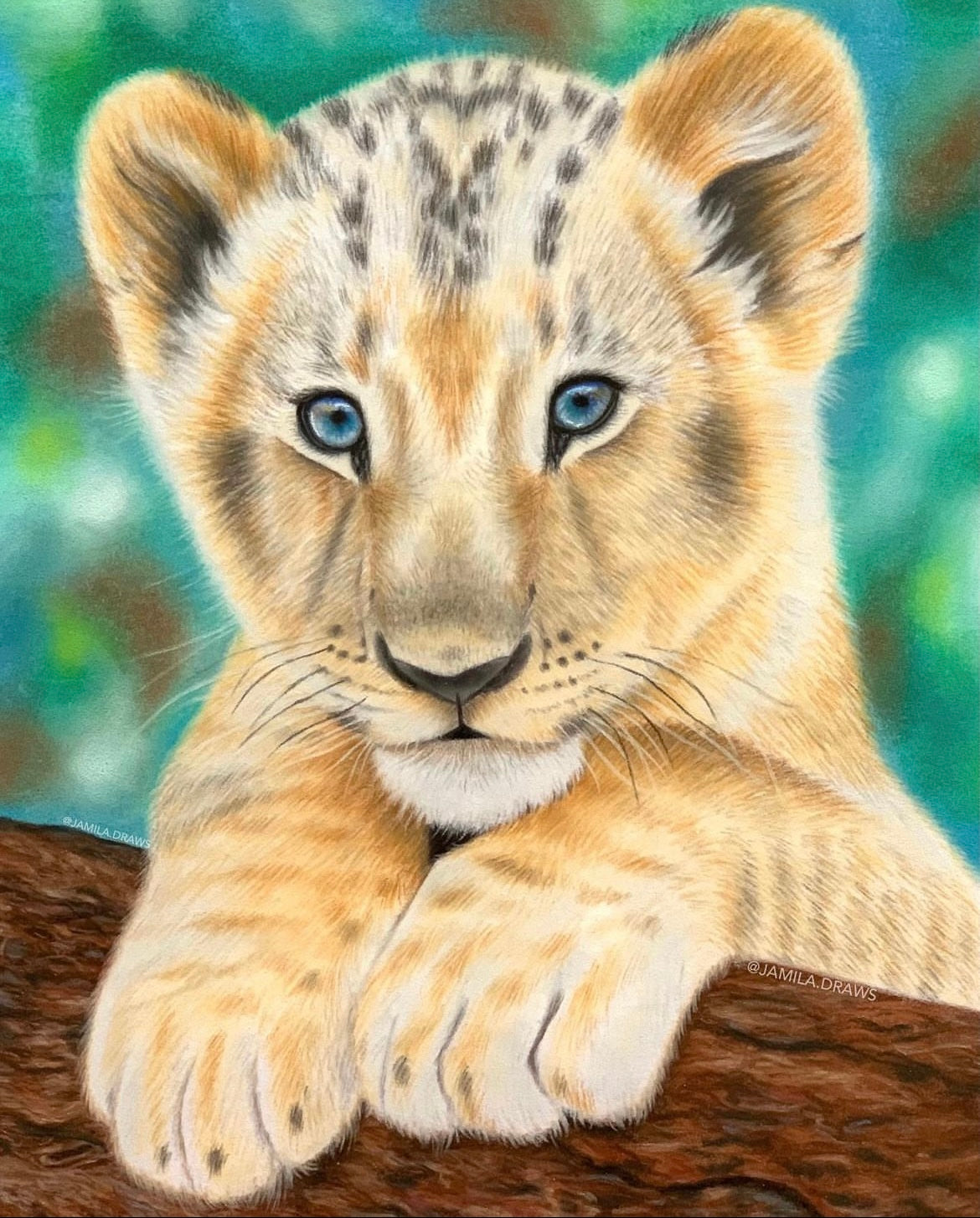 Lion Cub | Pastel pencils on paper