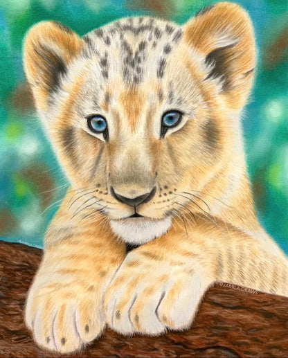 Lion Cub | Pastel pencils on paper
