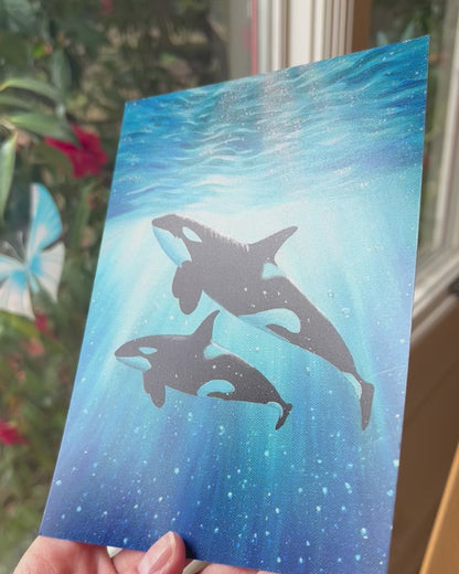 Pacific Orcas Print