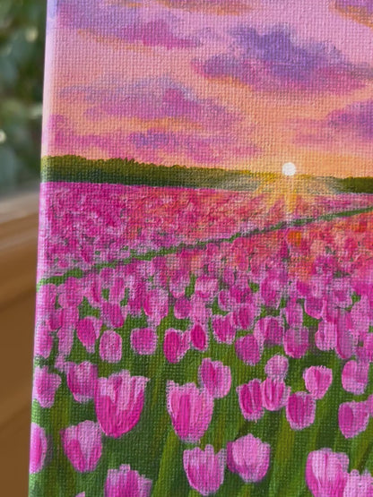 Sunset Tulips